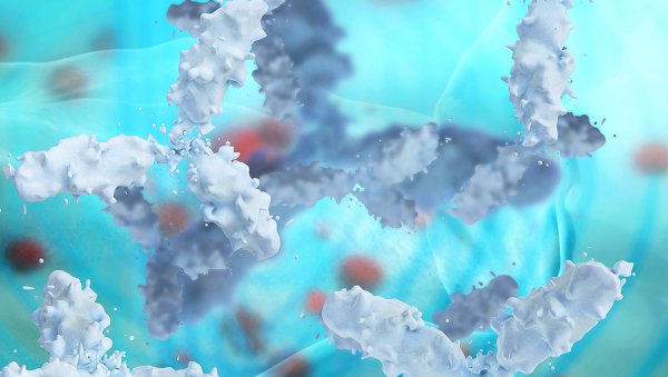 Poziomy króliczej globuliny antytymocytarnej w surowicy: czynniki wpływające na poziom oraz efekty kliniczne