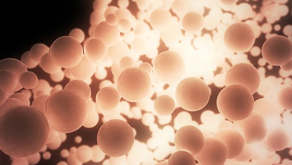 Późna ostra choroba przeszczep przeciw gospodarzowi - wyniki pierwszego badania prospektywnego