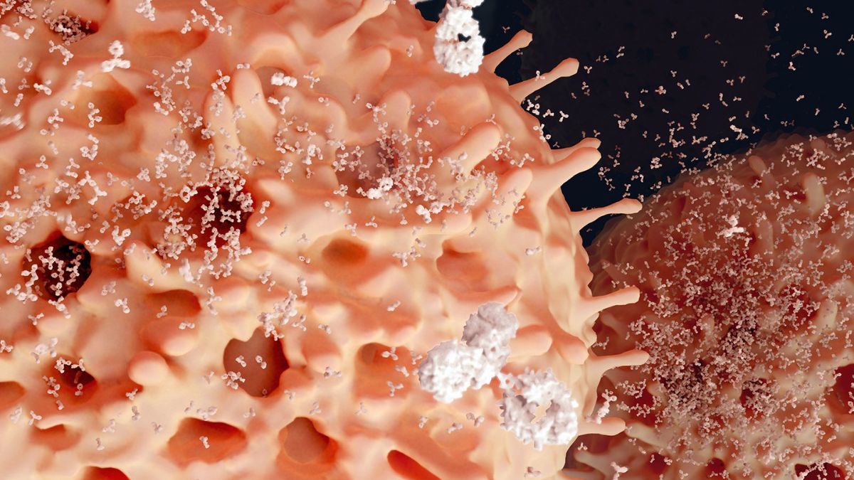 Bi-specyficzne angażery limfocytów T – nowa generacja immunoterapii nowotworów