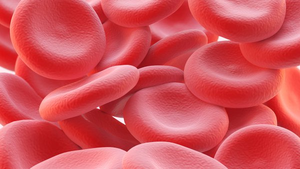 Propozycje postępowania z chorymi na nowotwory krwi, którzy przechodzą spod opieki hematologów pediatrycznych pod opiekę hematologów internistycznych