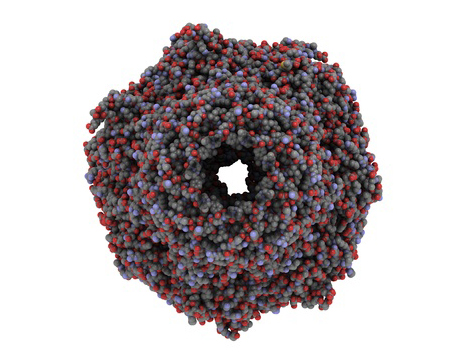 Karfilzomib – inhibitor proteasomu nowej generacji w leczeniu szpiczaka plazmocytowego