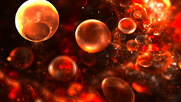 Przeszczepienia krwiotwórczych komórek macierzystych w Europie 2014: ponad 40 000 transplantacji rocznie