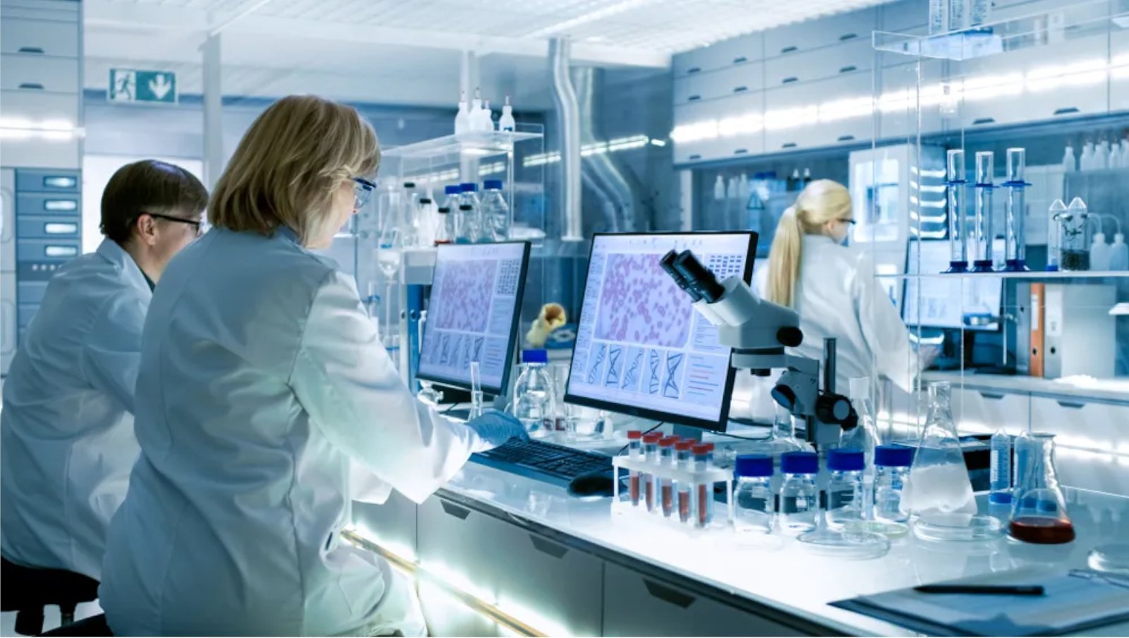 Przygotowanie ośrodka