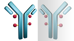 Refundacja brentuksymabu vedotin w lustrzanych odbiciach dwóch specjalistów
