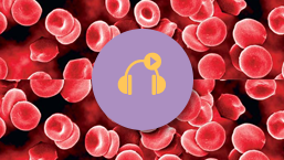 Relacja cyfrowa z X Konferencji Po-ASH w Zakopanem dostępna