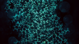 Rola immunoterapii w leczeniu szpiczaka plazmocytowego