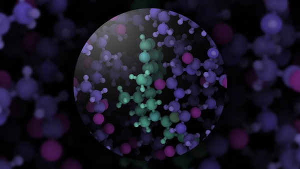 Rola szlaku sygnałowego kinazy Janusa w chorobie przeszczep-przeciwko-gospodarzowi oraz reakcji przeszczep-przeciwko-białaczce.