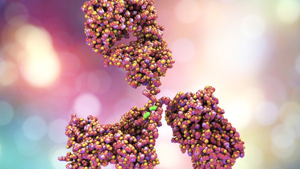 Rosnące znaczenie przeszczepiania alogenicznych komórek krwiotwórczych w leczeniu opornych i nawrotowych postaci chłoniaka Hodgkina w erze dostępności skoniugowanego przeciwciała monoklonalnego brentuksymab vedotin