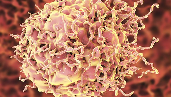 Ryzyko nawrotu DLBCL ograniczonych postaci choroby