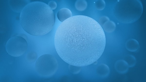 Selekcja najlepszego dawcy do haplo-HCT: znaczenie HLA, genotypowania receptora KIR-like oraz innych zmiennych klinicznych