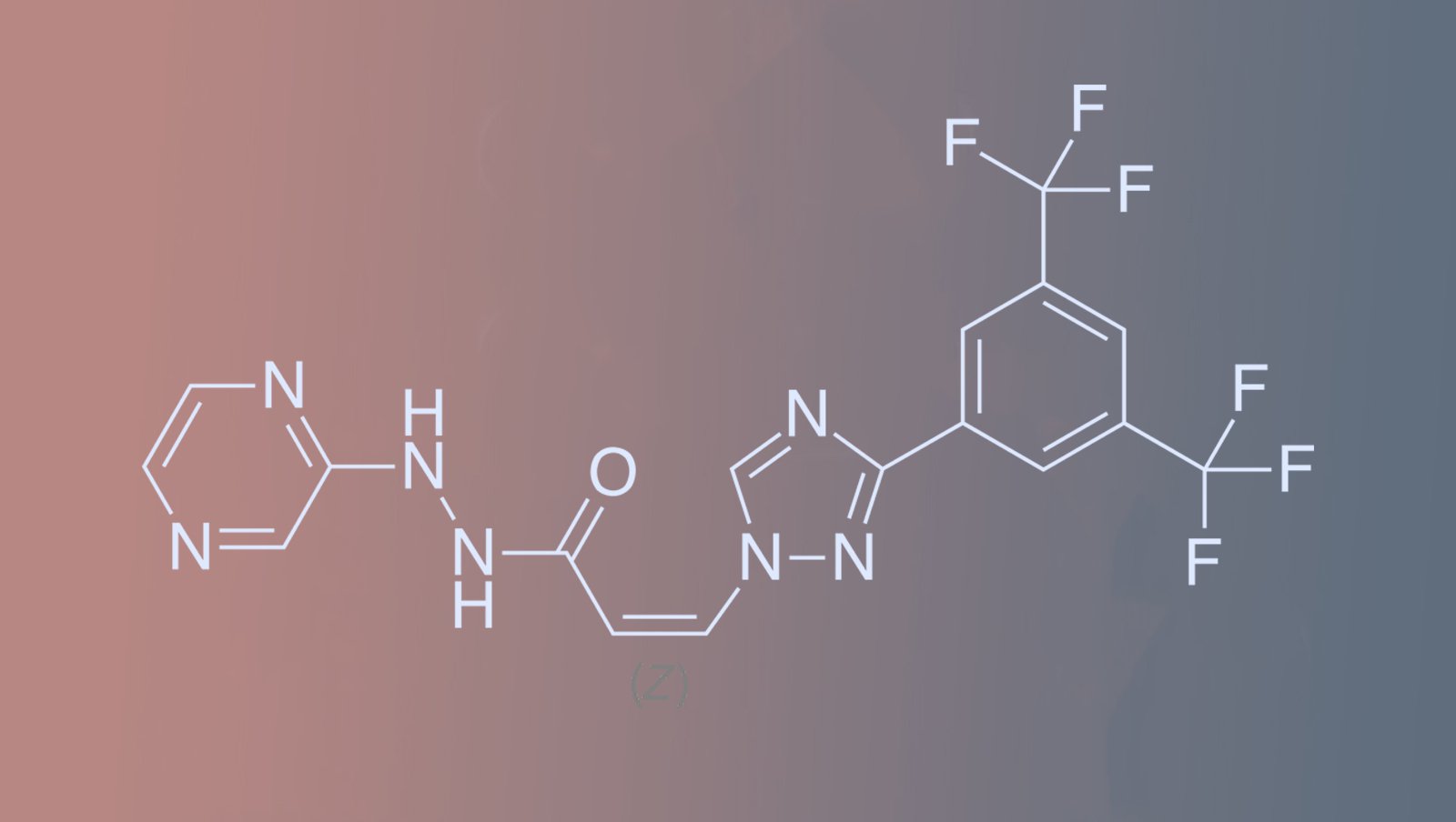Selineksor w połączeniu z deksametazonem w leczeniu szpiczaka
