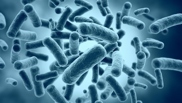 Skuteczność diet restrykcyjnych a częstość zakażeń u dzieci z chorobą nowotworową w okresie neutropenii