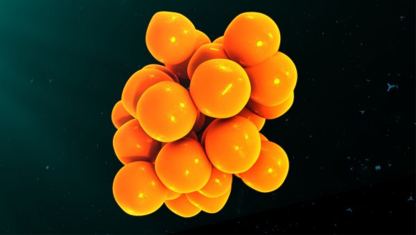 Skuteczność leczenia ibrutynibem w FL