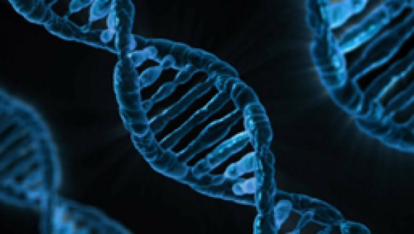 Skuteczność pembrolizumabu u chorych na chłoniaka Hodgkina w nawrocie po brentuksymabie vedotin