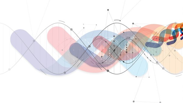 Skuteczność wozaroksyny w połączeniu z decytabiną w leczeniu OBSz i MDS