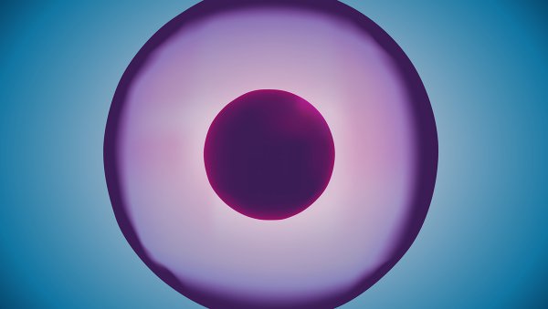 Spotkanie naukowe: Clinical Updates in Immunotherapy of Cancers: Genetically-modified Lymfocythes (CAR T cells) I 16 kwietnia 2018, Warszawa