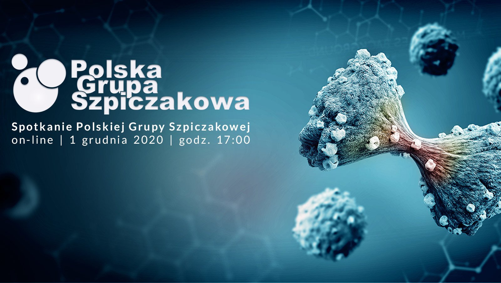 Spotkanie Polskiej Grupy Szpiczakowej Online | 1 grudnia 2020 r., godz. 17:00