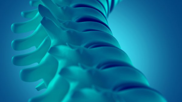 Starsi chorzy na szpiczaka plazmocytowego o niskim wskaźniku masy ciała w grupie...