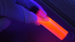 Stosowanie koncentratów omijających inhibitor w skojarzeniu z kwasem traneksamowym