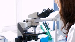 Thalidomide Celgene: Nowe, istotne zalecenia dotyczące reaktywacji zakażenia wirusowego...