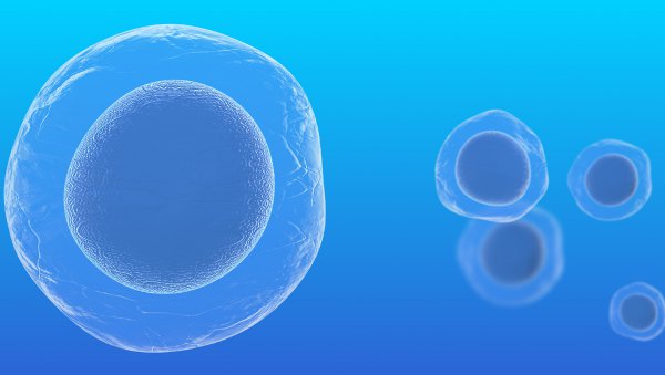 Tisagenlekleucel – terapia komórkowa CAR-T firmy Novartis zarejestrowana przez Komisję Europejską