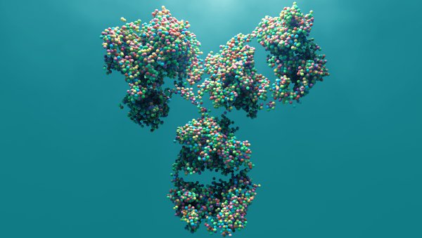 Tocilizumab w leczeniu ciężkiej sterydo-opornej ostrej GVHD dolnego odcinka przewodu pokarmowego