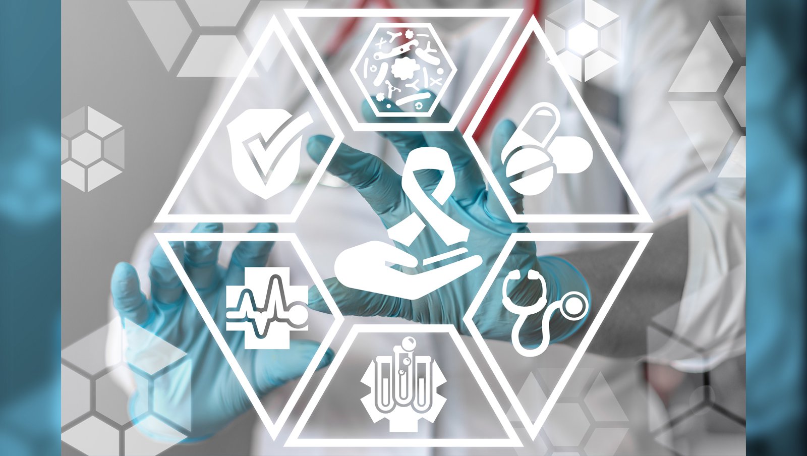 Bezpieczeństwo transplantacji alogenicznych komórek krwiotwórczych u dorosłych po terapii komórkami CAR-T anty-CD19