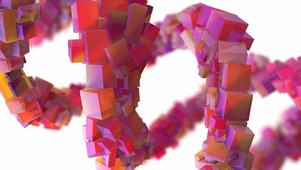 Transplantacja allogenicznych komórek krwiotwórczych u chorych na MDS i CMML - rekomendacje panelu ekspertów