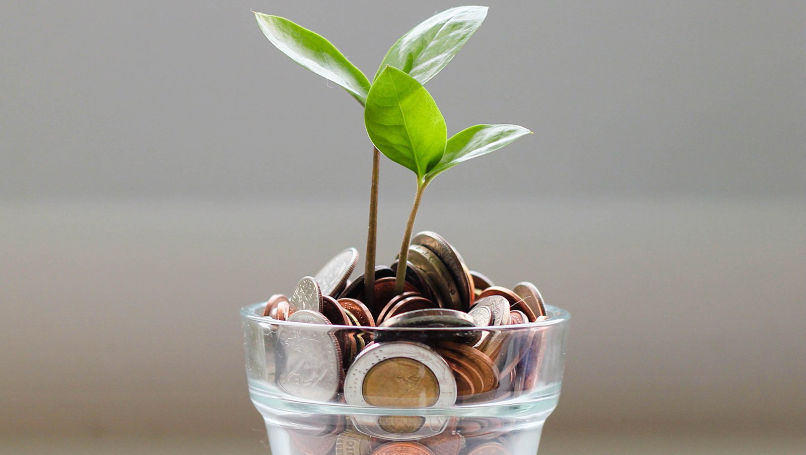 Granty badawcze Europejskiego Stowarzyszenia Hematologicznego do zdobycia