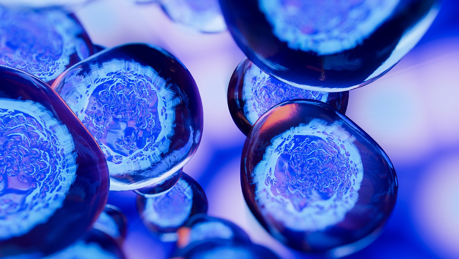 Multimodalny limfocyt T w walce z powikłaniami po allo-HSCT