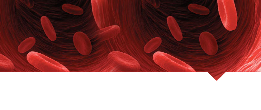 V Ogólnopolskie Warsztaty MDS, 12-13 marca 2015, Warszawa