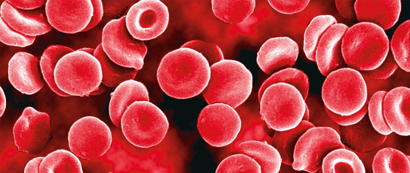 VIII Ogólnopolska Konferencja Po-ASH, 6–8 marca 2015 r. Zakopane