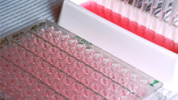 Warsztaty immunoonkologii w Warszawskim Uniwersytecie Medycznym