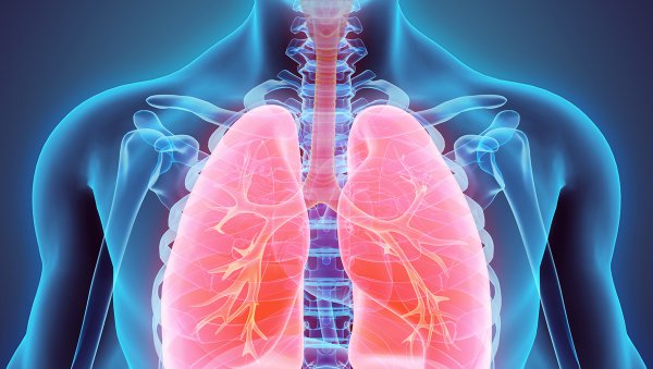 Wpływ rytuksymabu na czynność płuc w bronchiolitis obliterans syndrome w przebiegu choroby przeszczep-przeciwko-gospodarzowi