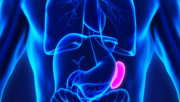 Wpływ splenektomii wykonanej przed przeszczepieniem allogenicznych krwiotwórczych komórek macierzystych u chorych na samoistne zwłóknienie szpiku kostnego