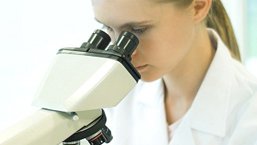 Wrażliwość nowotworów układu krwiotwórczego i chłonnego na efekt przeszczep przeciwko chorobie – analiza EBMT