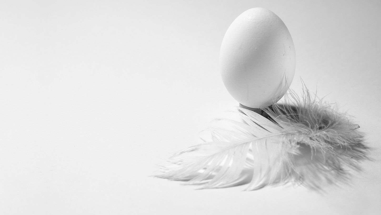 Życzenia Wielkanocne 2022