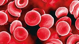 X Ogólnopolska Konferencja Po-ASH, Zakopane, 04-06.03.2016