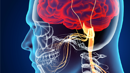 Zajęcie centralnego układu nerwowego przez szpiczaka plazmocytowego (CSN MM): wieloośrodkowe,...
