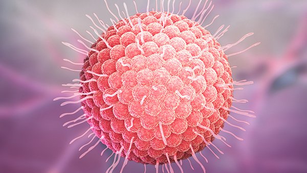 Zakażenia u chorych na MDS lub AML leczonych azacytydyną