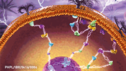 Zaproszenie na sesję edukacyjną