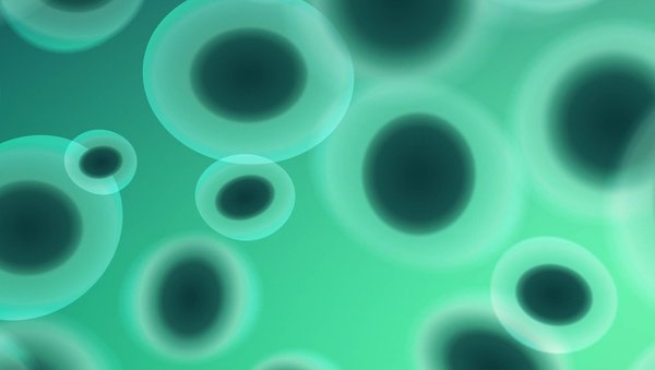 Zastosowanie nivolumabu po przeszczepieniu allogenicznych komórek krwiotwórczych