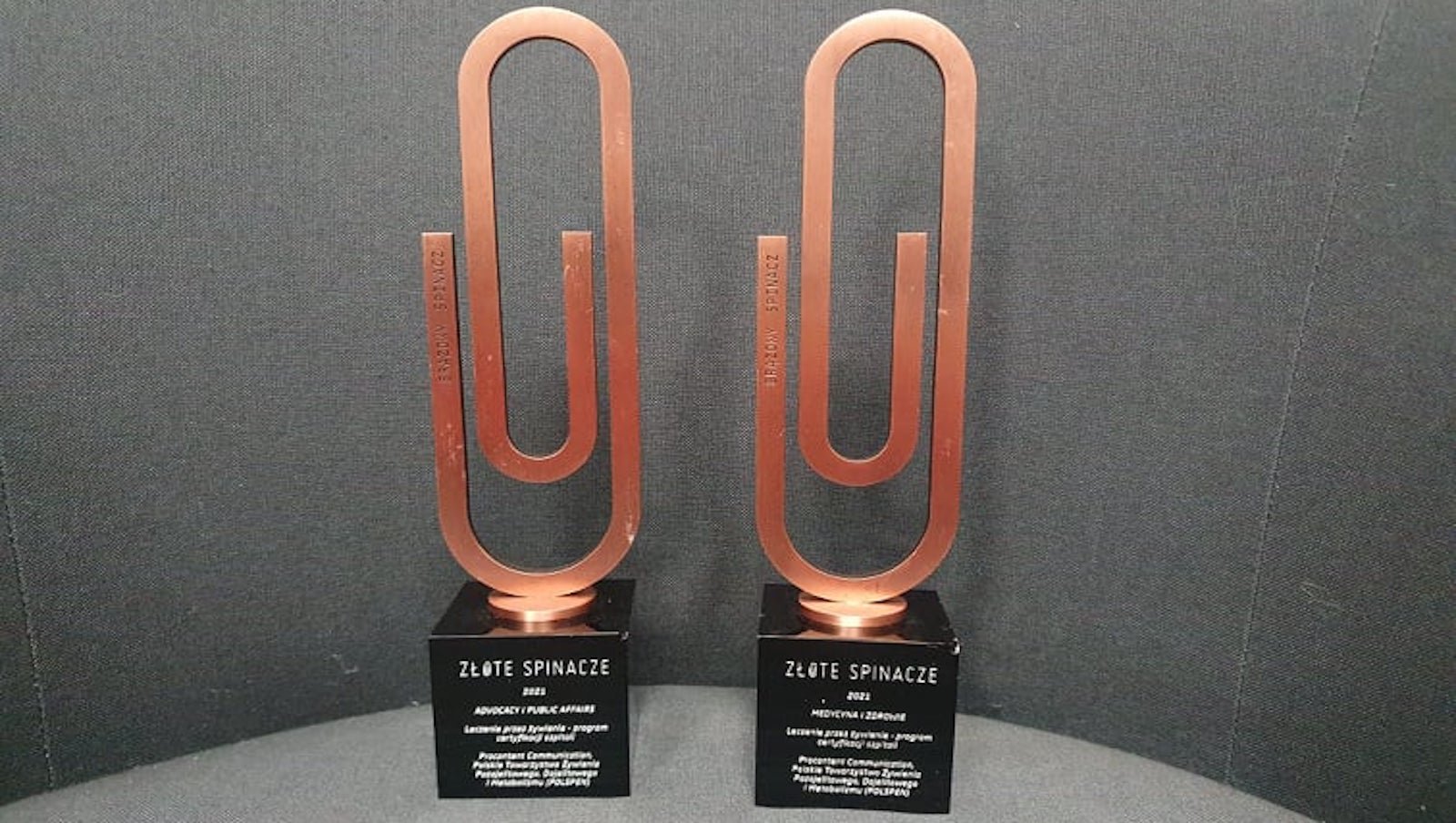 Brązowy Spinacz dla projektu „Szpital dobrej praktyki żywienia klinicznego – leczenie przez żywienie”