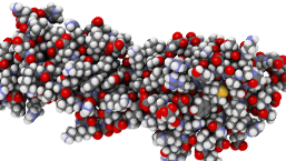 Zgoda FDA na nivolumab w terapii HL