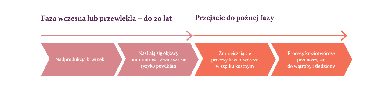 Fazy czerwienicy prawdziwej