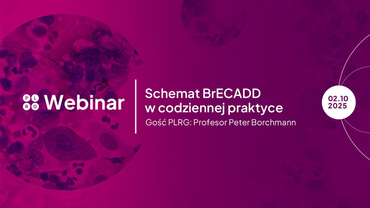 Schemat BrECADD w codziennej praktyce