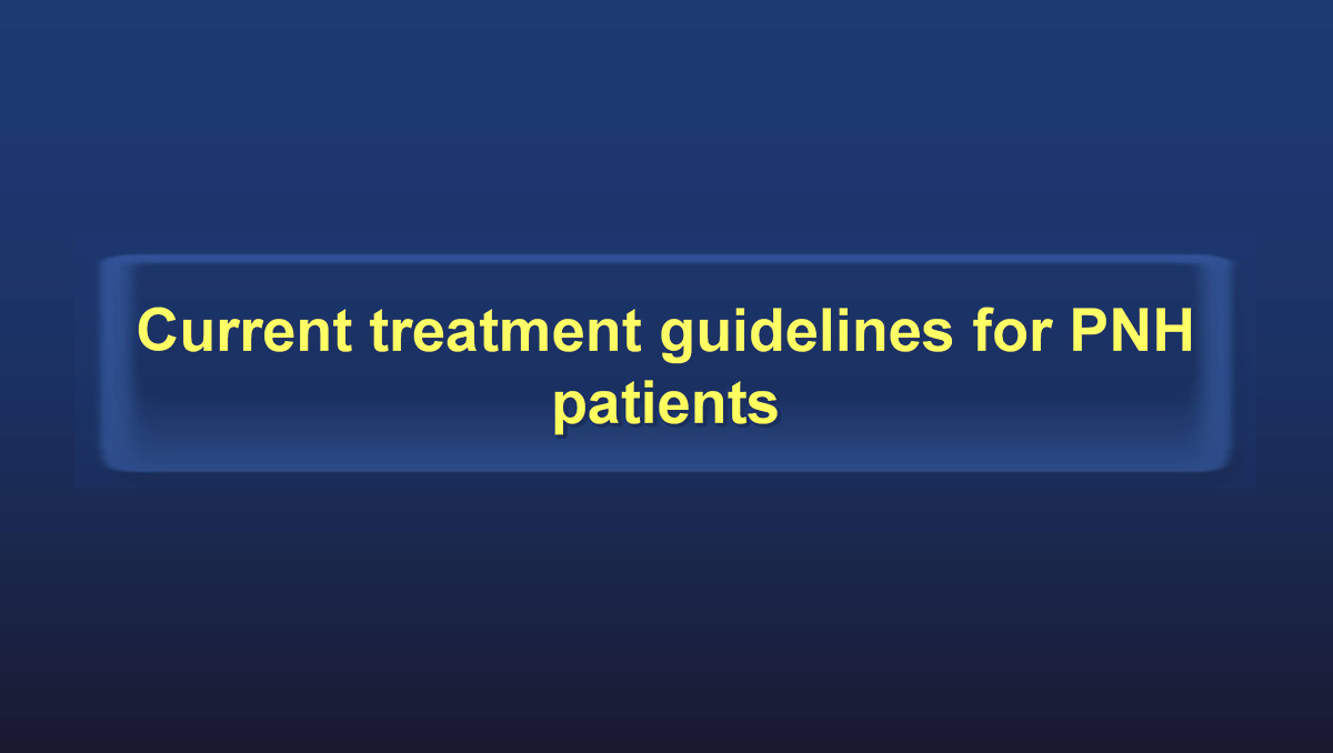 Current treatment guidelines for PNH patients