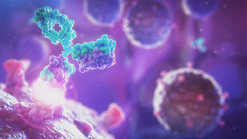 Daratumumab – jak to działa?