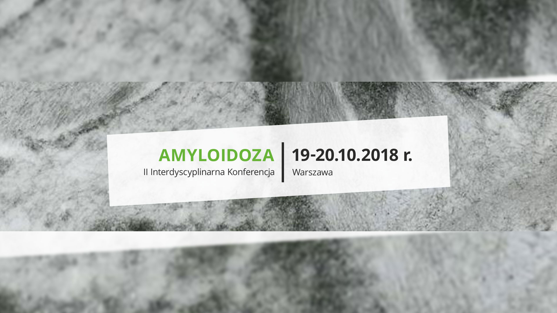 II Interdyscyplinarna Konferencja Amyloidoza | Warszawa | 19-20.10.2018