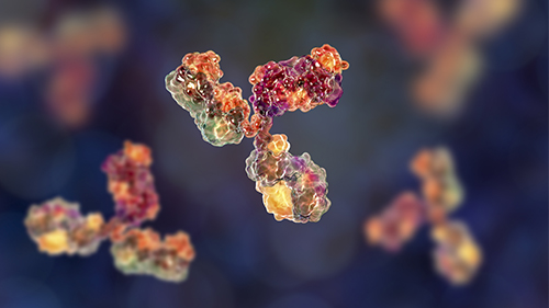 Inotuzumab Ozogamycyny | Nowe rozwiązanie dla pacjentów z ALL